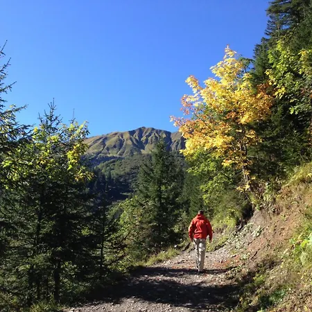 Heeres Mittelberg