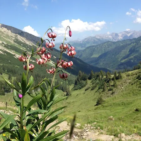 Heeres Appartement Mittelberg